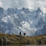 person standing on green grass field near snow covered mountain during daytime