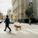 a woman walking a dog across a street