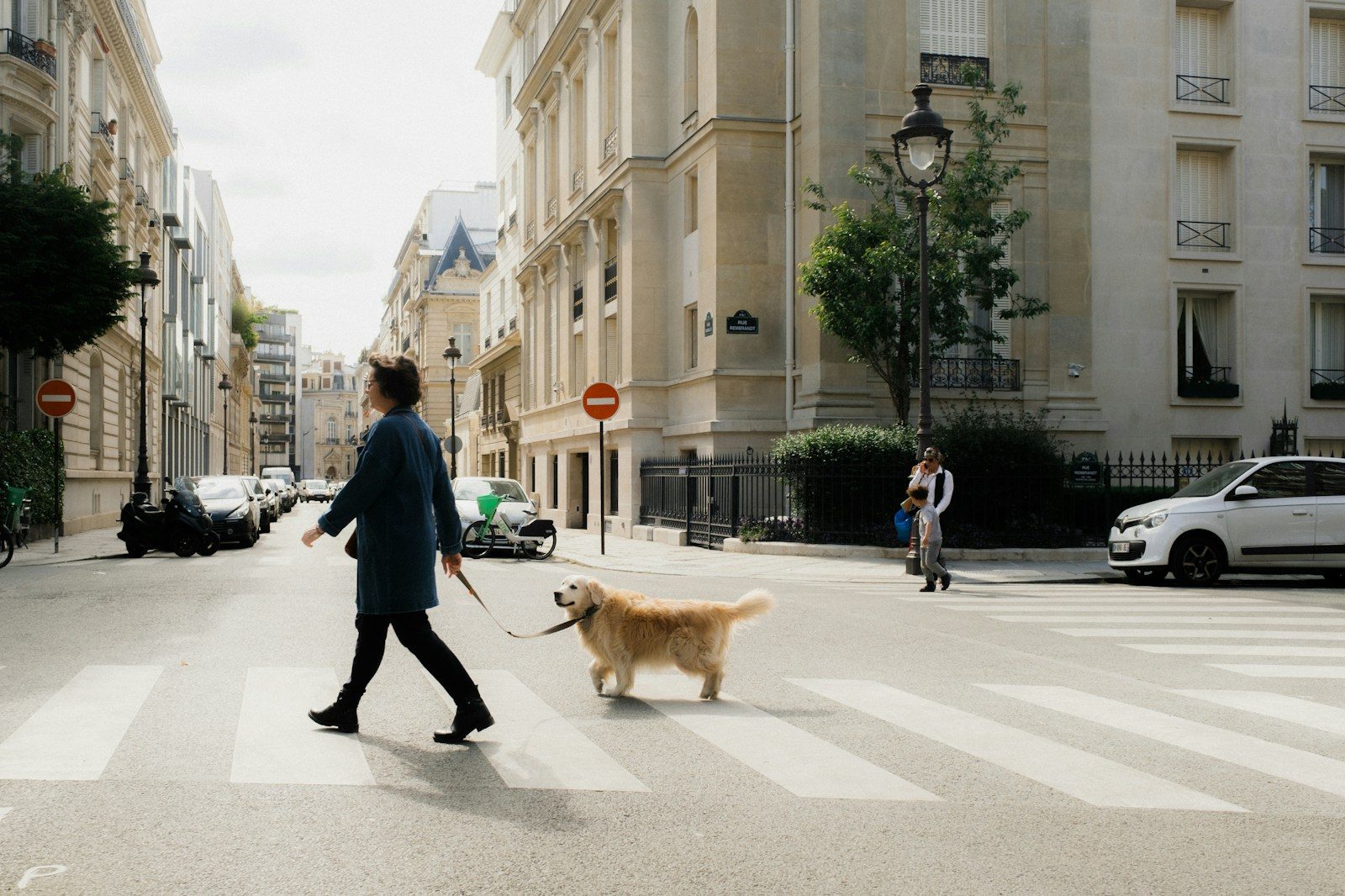 Cours canin : quels signes montrent qu’un programme est bien adapté ?