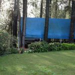 Tarp bleu protège une structure au milieu d'un jardin arboré